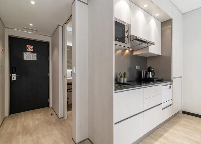 Dom Luis Flats 公寓 *